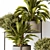 Versatile 3D Indoor Plant Model 3D model small image 2