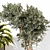 Versatile 3D Indoor Plant Model 3D model small image 3