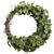 Box Leaf Wreath Set 12 3D model small image 1