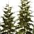 Urban Greenery Set: Cypress, Thuja, Juniper 3D model small image 5