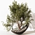 Modern Indoor Plant 195 Home 3D model small image 1