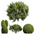 Pruned Bonsai Tree Models Bundle 3D model small image 1