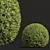 Pruned Bonsai Tree Models Bundle 3D model small image 3