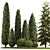 Evergreen Landscape Plant Set - 1155 3D model small image 2