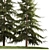 Evergreen Landscape Plant Set - 1155 3D model small image 4