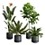 Exotic Indoor Plants Selection Pack 3D model small image 1