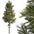 Minimalist Pine Tree Model 3D model small image 1