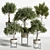 Modern Indoor Plant Decoration 3D 3D model small image 4