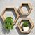 Natural Wood Hexagon Shelves Organic 3D model small image 2
