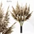 Elegant Pampas Plant 3D Model 3D model small image 1