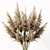 Elegant Pampas Plant 3D Model 3D model small image 3