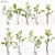 Premium Indoor Plant Collection Set 3D model small image 1