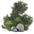 Outdoor Bush Plants Set 685 3D model small image 1