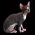 Sphynx Model Kitten: 287mm Height 3D model small image 2