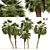 Chinese Fan Palm 3D Model 3D model small image 1