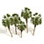 Chinese Fan Palm 3D Model 3D model small image 4