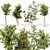 Premium Indoor Plant Collection Model 3D model small image 1