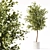 Premium Indoor Plant Collection Model 3D model small image 6