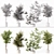 Premium Indoor Plant Collection Model 3D model small image 7