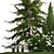  Urban Greenery Collection - Conifers & Grasses 3D model small image 4