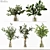 Premium Indoor Plant Collection Model 3D model small image 1