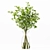 Premium Indoor Plant Collection Model 3D model small image 2
