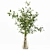 Premium Indoor Plant Collection Model 3D model small image 4