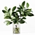 Premium Indoor Plant Collection Model 3D model small image 6