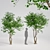 Dual Tree Models Set 001 3D model small image 1