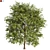Outdoor Oasis Tree Decor 5 3D model small image 1