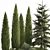 Coniferous Greenery Collection 3D model small image 2