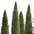 Coniferous Greenery Collection 3D model small image 4