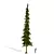 Tayozhnaya Spruce Tree Model 3D model small image 1