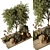 Outdoor Plant 194 3D Model 3D model small image 2