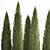 Coniferous Trees Set for Landscaping 3D model small image 2