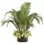 Tall Palm Indoor Plant Décor 3D model small image 1