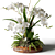 White Orchid in Wooden Planter 3D model small image 2