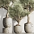 Olive Tree Indoor Plant Set 3D model small image 4
