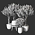 Indoor Plant 3D Model Collection 3D model small image 4