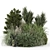 Outdoor Plants Bush Set 1281 3D model small image 6