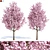 Elegant Plum Tree 2 3D model small image 1