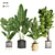 Modern Indoor Plant Collection Set 3D model small image 1