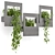Modern Indoor Hanging Plants Shelve 3D model small image 2