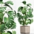 Lush Green Indoor Plants Set 3D model small image 2