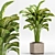 Lush Green Indoor Plants Set 3D model small image 5