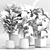 Lush Green Indoor Plants Set 3D model small image 7