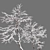 Frosty Winter Young Trees 3D model small image 5