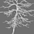 Frosty Winter Young Trees 3D model small image 6