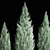 Cypress & Blue Thuja Garden Collection 3D model small image 2