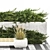 Urban Greenery Set with Concrete Bench 3D model small image 5